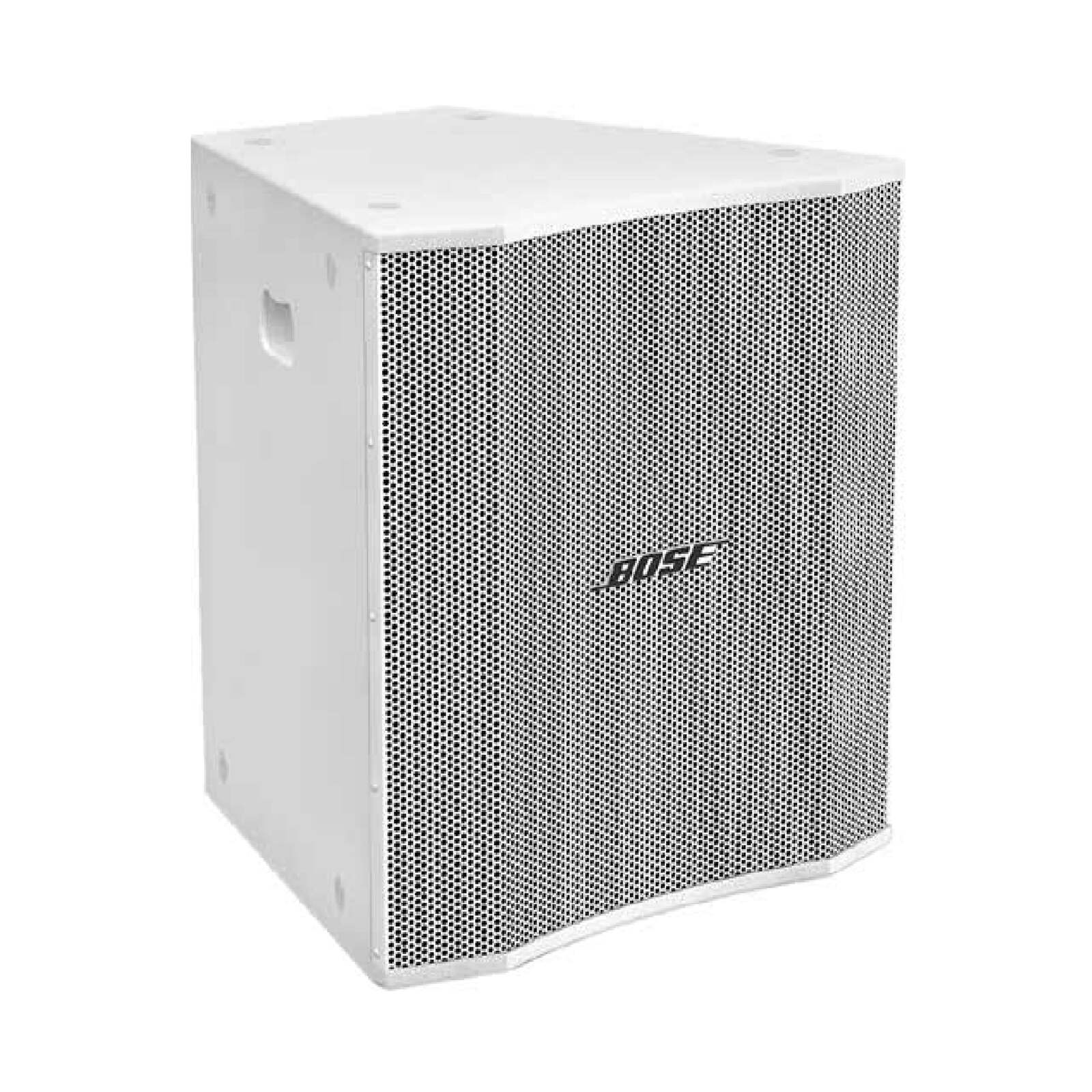 Bose LT 6400 Passive loudspeaker 100W, 8ohms