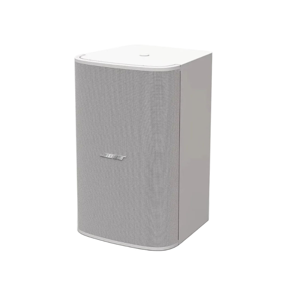 Bose Professional DesignMax DM10S-SUB Surface-Mount Subwoofer