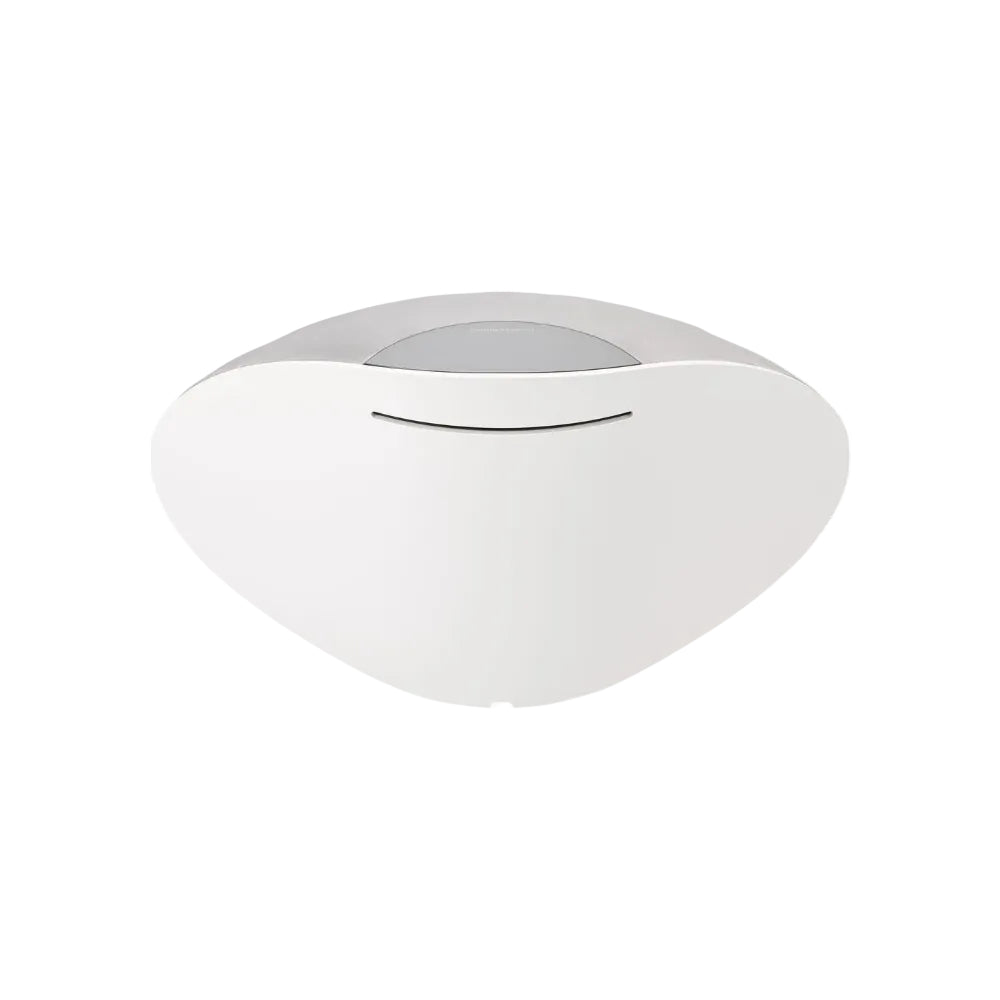 مكبر الصوت اللاسلكي Bowers & Wilkins Formation Wedge