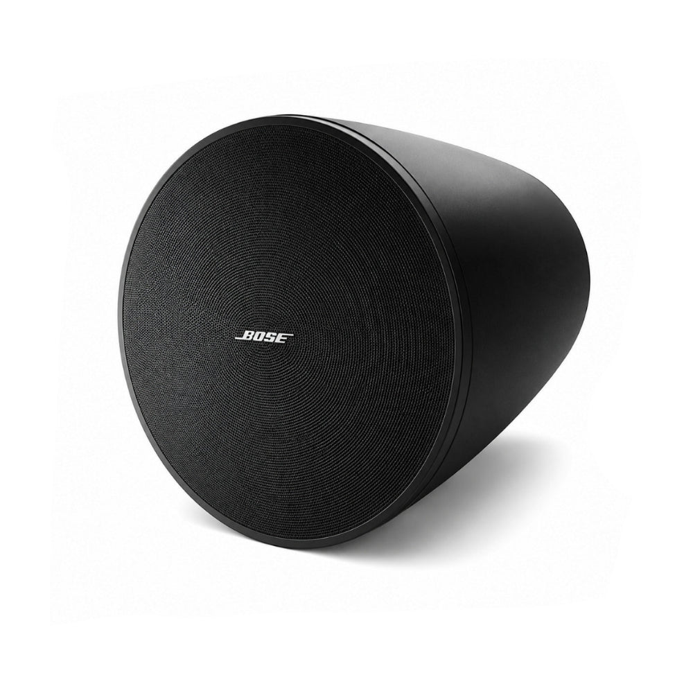 Bose Professional DesignMax DM10P-SUB Pendant Subwoofer