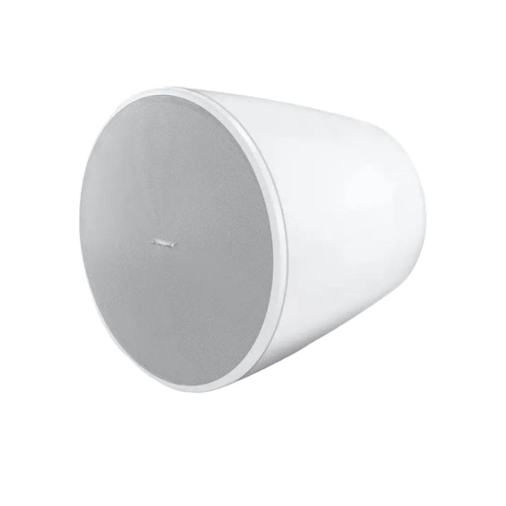 Bose Professional DesignMax DM10P-SUB Pendant Subwoofer