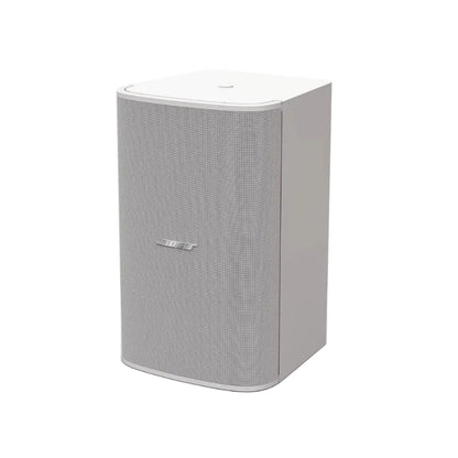 Bose Professional DesignMax DM10S-SUB Surface-Mount Subwoofer