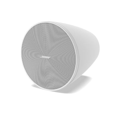 Bose Professional DesignMax DM5P Pendant Loudspeaker (Pair)