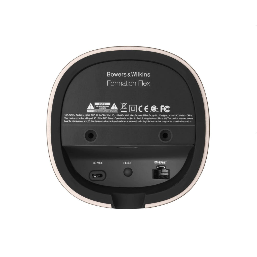 Bowers & Wilkins Formation Flex Wireless Speaker