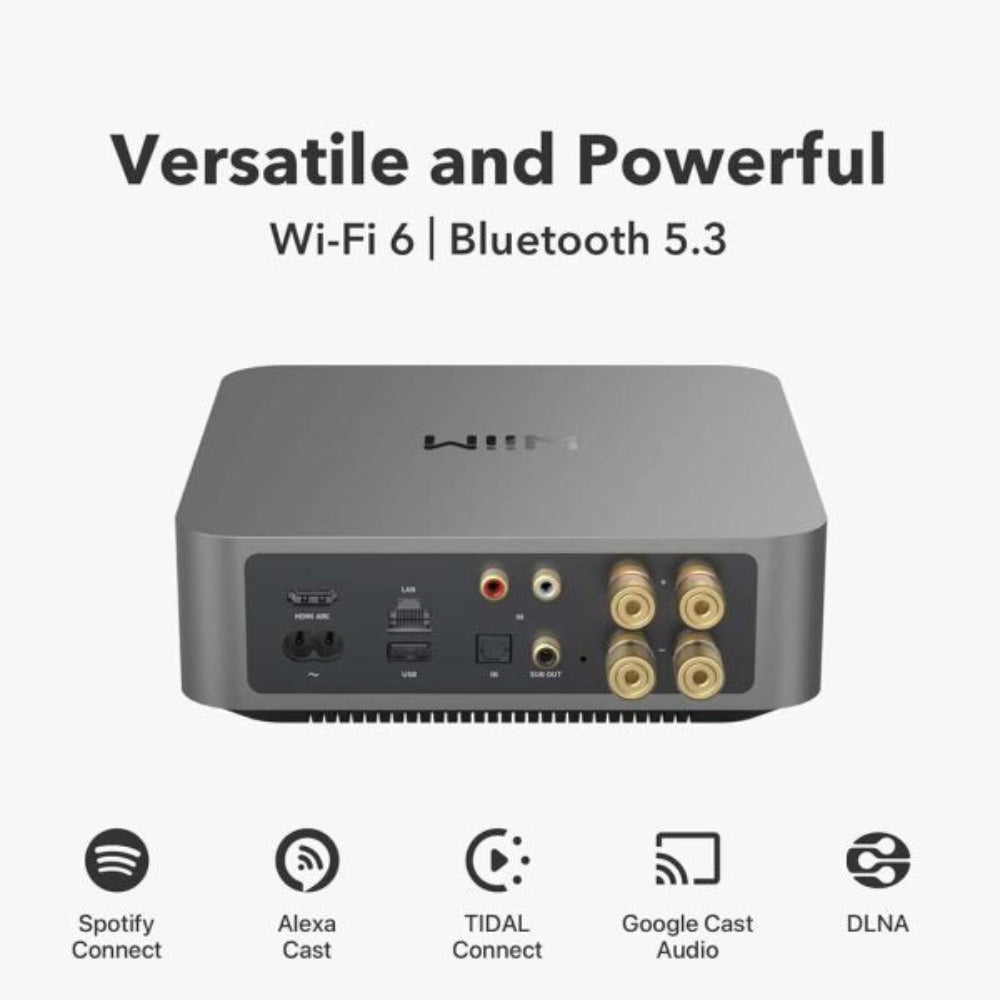 wiim-amp-pro-2-600×600