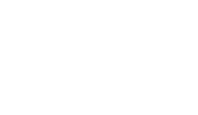 Amina